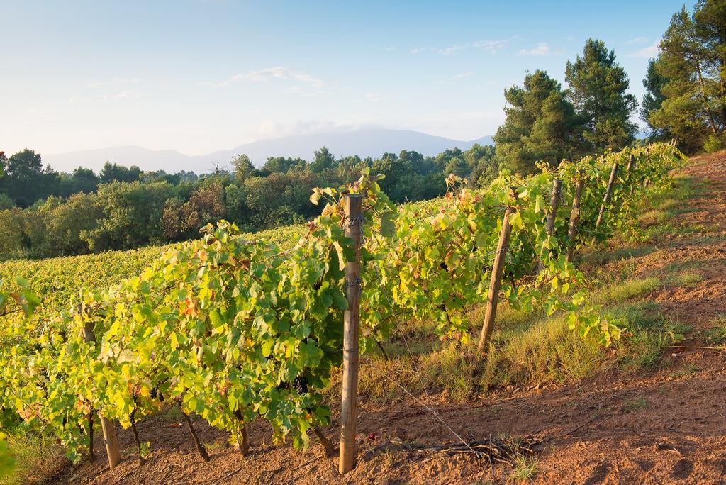 Chateau Canet Villa Rustiques Bagian luar foto