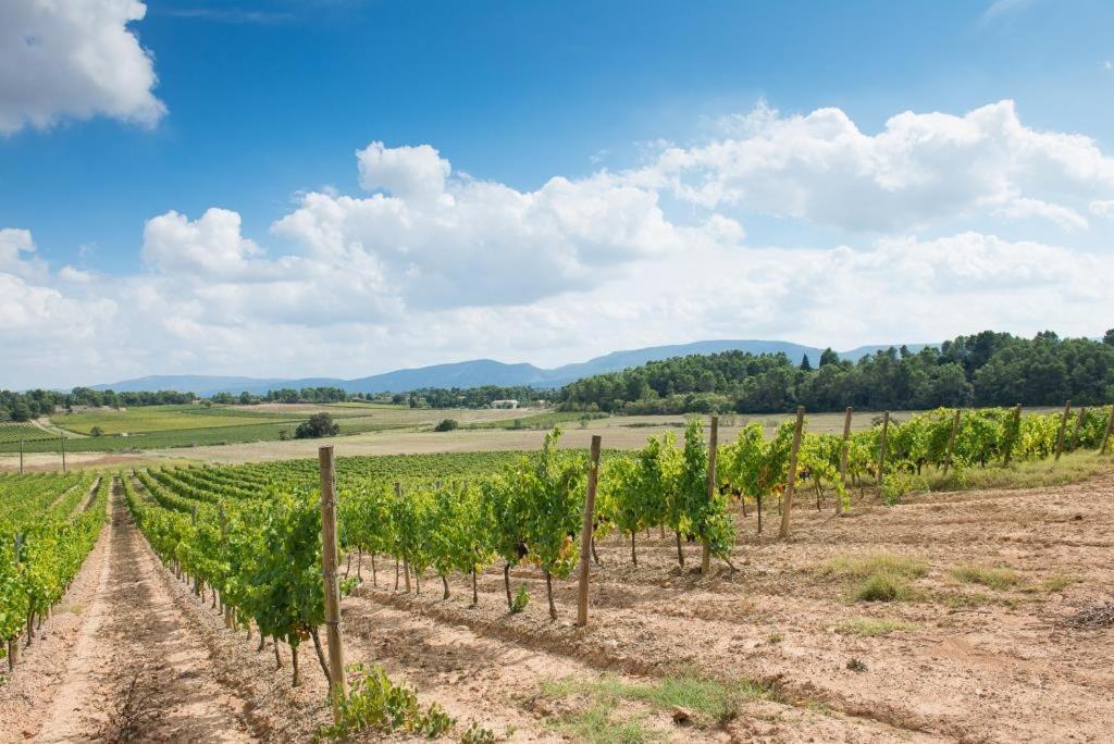 Chateau Canet Villa Rustiques Bagian luar foto